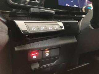 RENAULT Austral usata 22