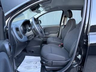 FIAT Panda usata, con Airbag Passeggero