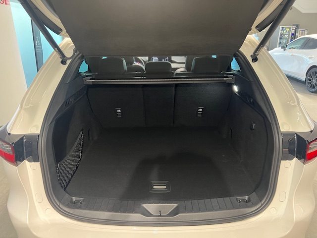 MAZDA CX-60 usata, con Interni in pelle