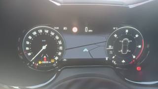 ALFA ROMEO Tonale usata, con ESP