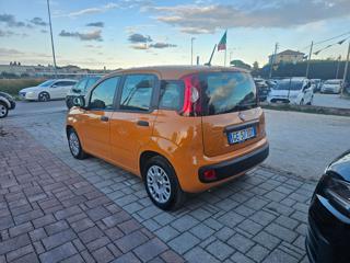 FIAT Panda usata, con Airbag Passeggero