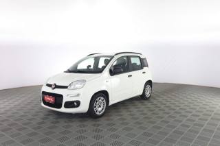 FIAT Panda usata 6