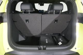BYD Dolphin Surf usata, con Interni in pelle