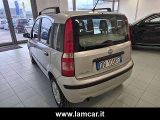FIAT Panda usata, con Fendinebbia