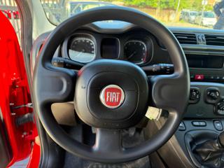 FIAT Panda usata, con Airbag testa
