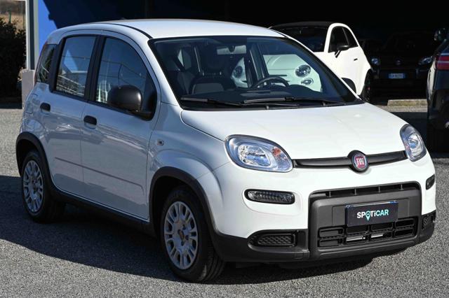 FIAT Panda usata, con Airbag Passeggero