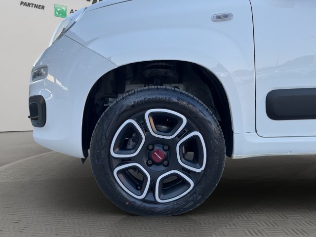 FIAT Panda usata 16