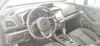SUBARU XV usata 60