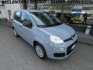 FIAT Panda usata, con Airbag Passeggero