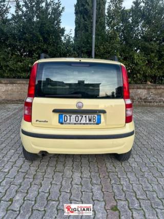 FIAT Panda usata 3