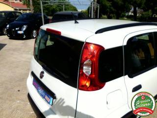 FIAT Panda usata 36
