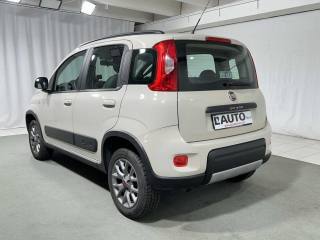 FIAT Panda usata, con Airbag Passeggero