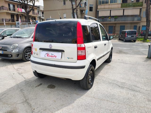 FIAT Panda usata, con Antifurto