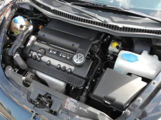 VOLKSWAGEN New Beetle usata 63