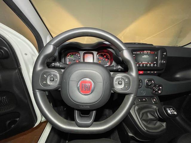FIAT Panda Cross usata, con Controllo trazione