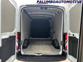 FORD Transit usata, con Fendinebbia