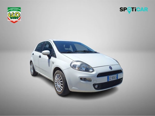 FIAT Punto usata 16