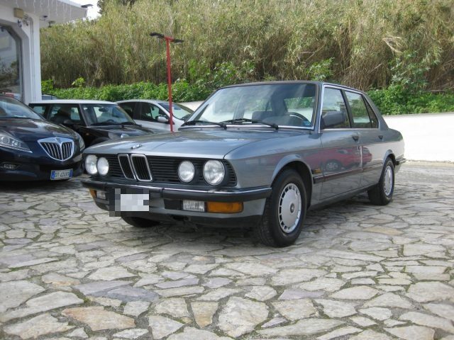 BMW 520 usata 44