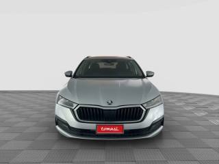 SKODA Octavia usata 7