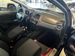 FIAT Punto usata 13