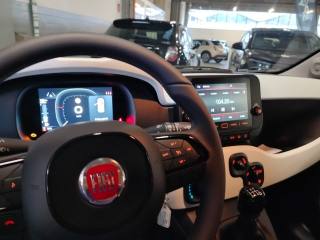 FIAT Panda usata 28
