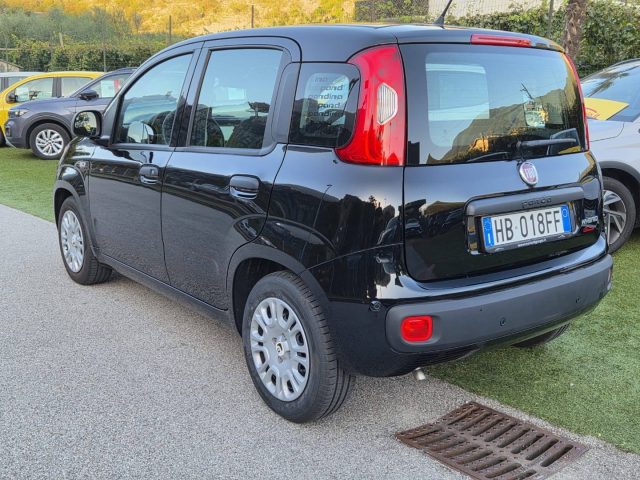 FIAT Panda usata, con Airbag Passeggero
