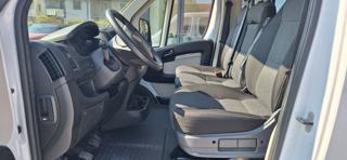 FIAT Ducato usata 16