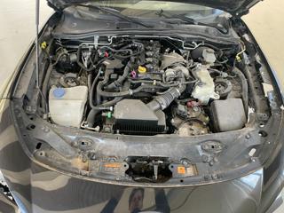 FIAT 124 Spider usata, con Chiusura centralizzata