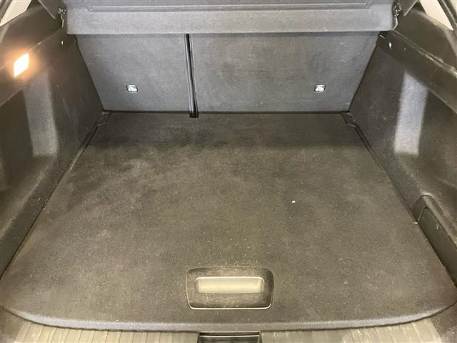 RENAULT Arkana usata 24