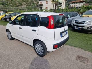 FIAT Pandina usata, con Airbag laterali
