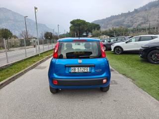 FIAT Panda usata, con Antifurto