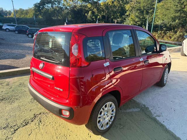 FIAT Panda usata, con Airbag Passeggero