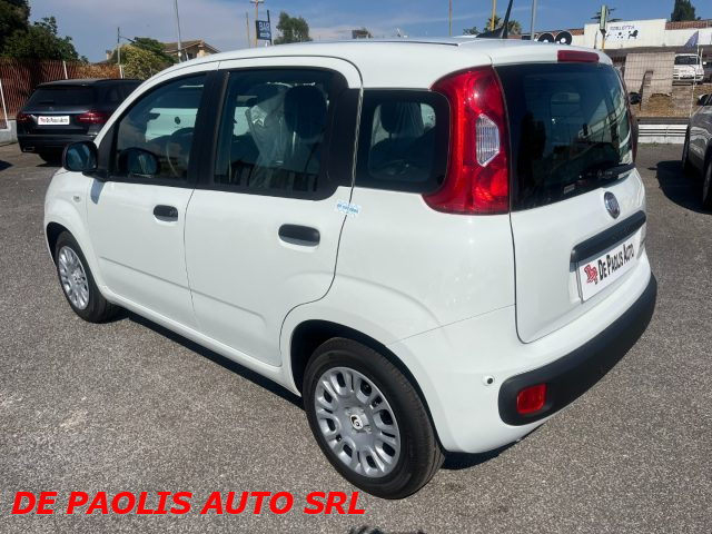 FIAT Panda usata, con Airbag Passeggero