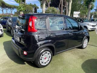 FIAT Panda usata, con Airbag Passeggero