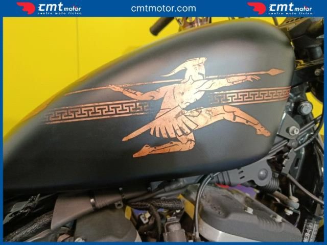HARLEY-DAVIDSON 883 Iron usata 5