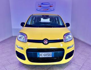 FIAT Pandina 1.0 FireFly 65 CV Hybrid Icon