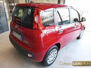 FIAT Panda usata, con Autoradio