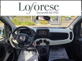 FIAT Panda Cross usata, con Climatizzatore