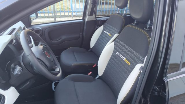 FIAT Panda usata, con Cruise Control
