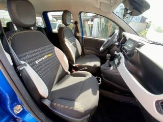 FIAT Panda Cross usata, con Fendinebbia