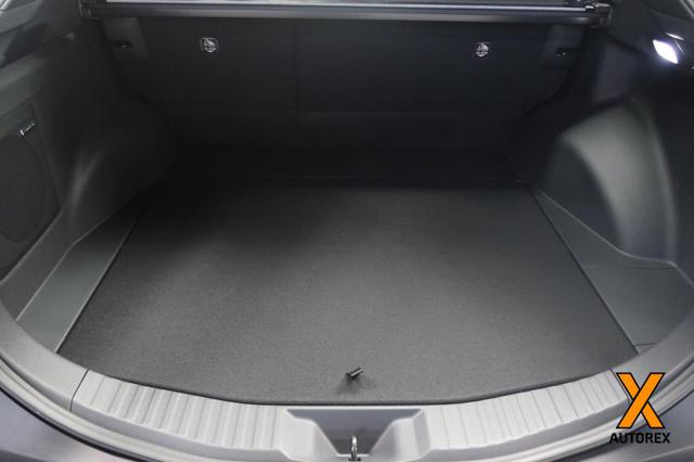 SUBARU Solterra usata, con Autoradio