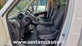 FIAT  usata 6