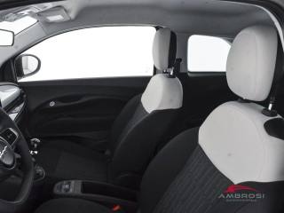 FIAT 500 usata 8