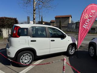 FIAT Panda usata, con Airbag
