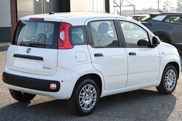 FIAT Panda usata, con Antifurto