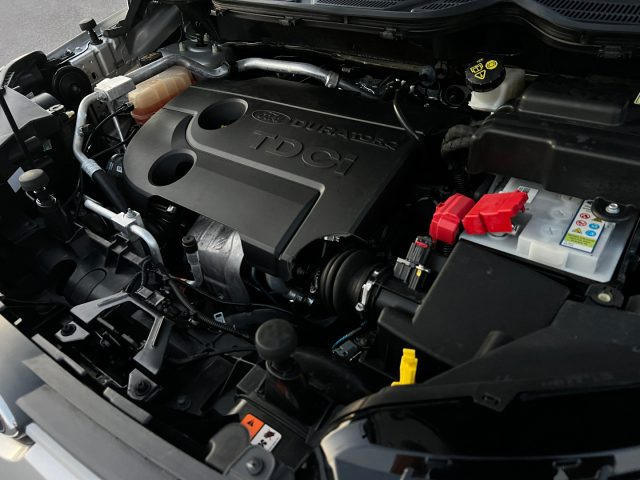 FORD EcoSport usata, con Fendinebbia
