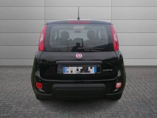 FIAT Panda usata, con Airbag testa
