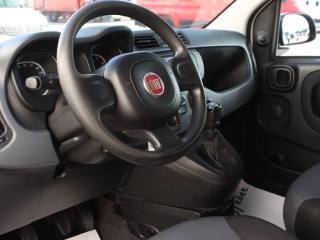 FIAT Panda usata, con Fendinebbia