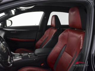 LEXUS NX 300h usata 8