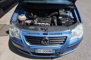 VOLKSWAGEN Polo usata 98
